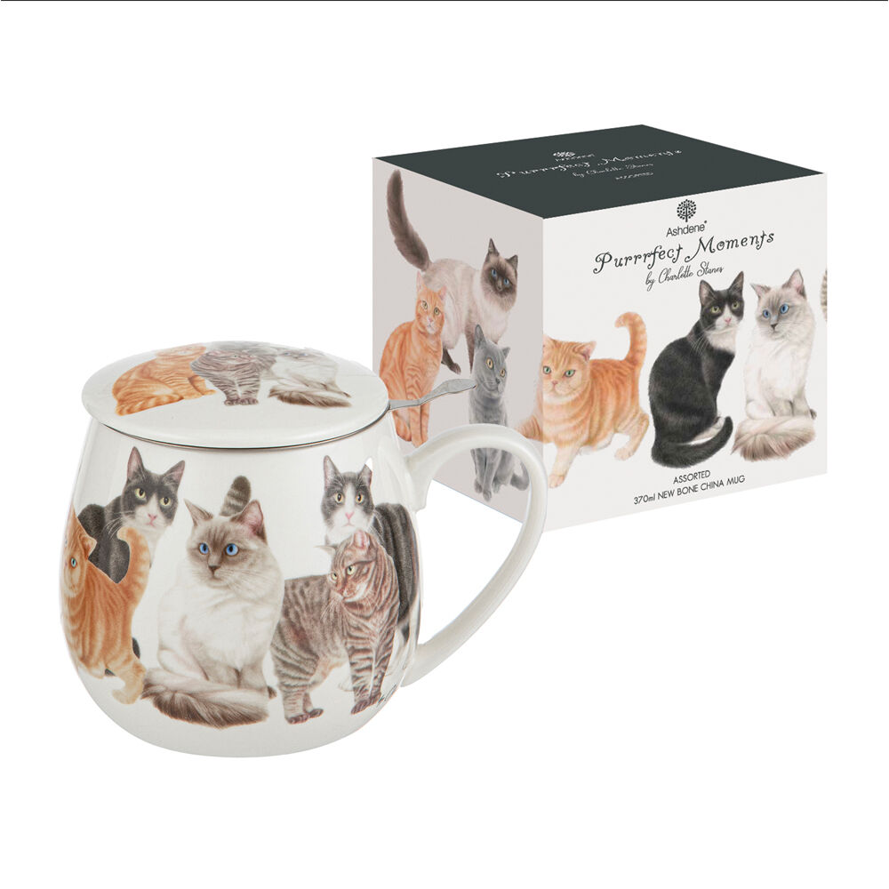 522295-3pc-ashdene-purrrfect-moments-370ml-mug-new-bone-china-w-tea-infuser