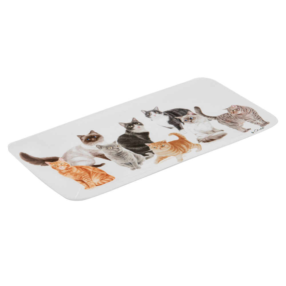 522296-ashdene-purrrfect-moments-rectangle-platter-33x16cm-white