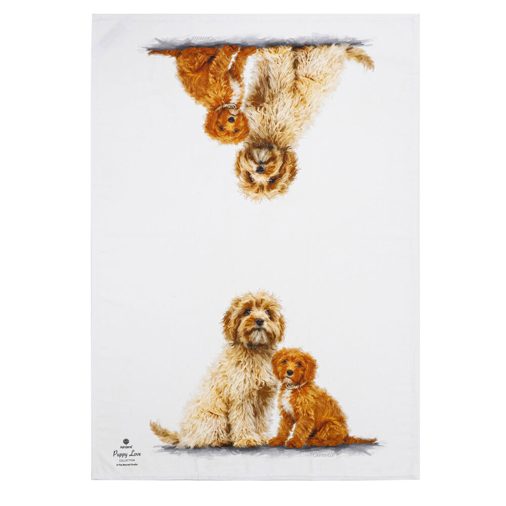 522413-2pc-ashdene-puppy-love-cavoodle-kitchen-tea-towel-50x70cm-white