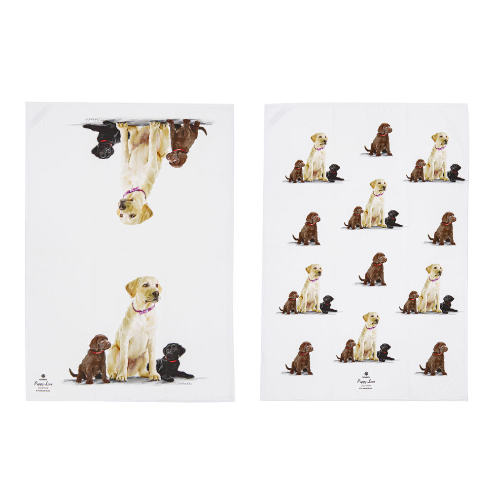 522415-2pc-ashdene-puppy-love-labrador-kitchen-tea-towel-50x70cm-white
