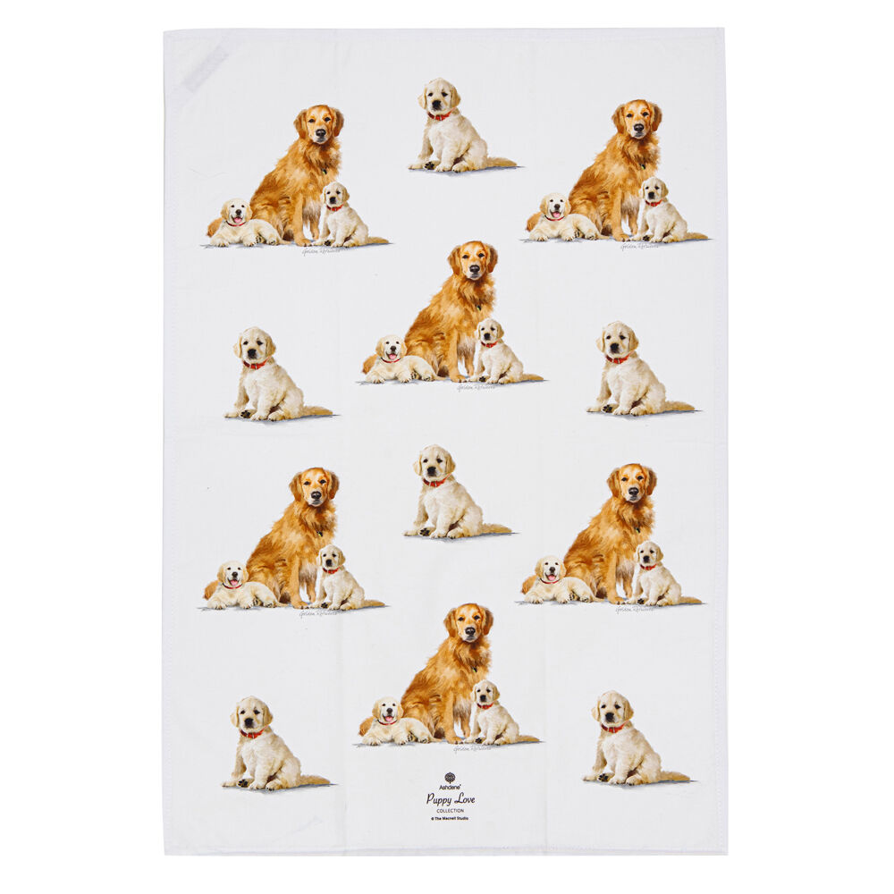 522416-2pc-ashdene-puppy-love-golden-retriever-kitchen-tea-towel-50x70cm-white