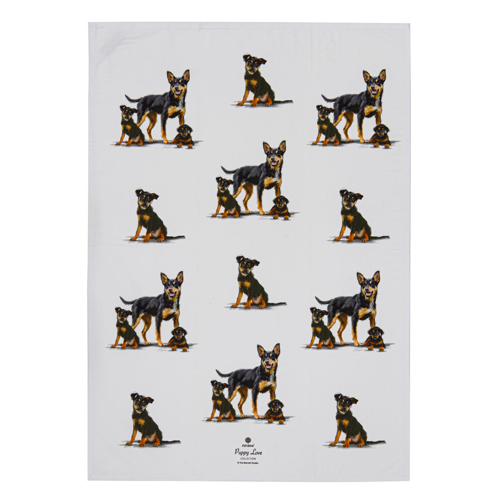 522423-2pc-ashdene-puppy-love-kelpie-kitchen-tea-towel-50x70cm-white