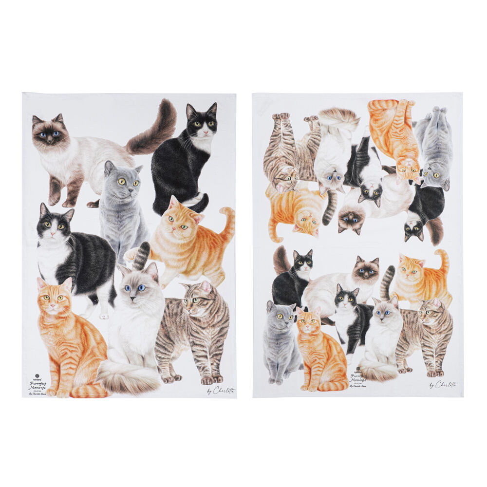 522303-2pc-ashdene-purrrfect-moments-kitchen-tea-towel-50x70cm-white