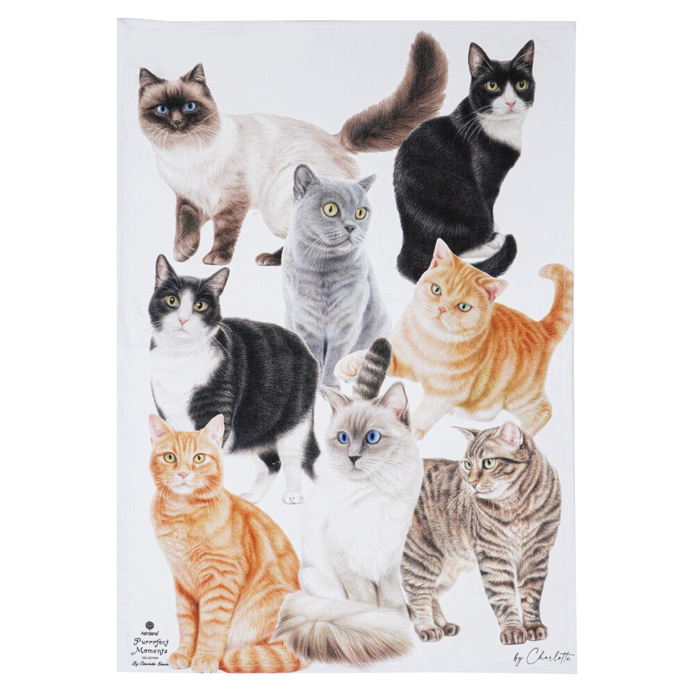 522303-2pc-ashdene-purrrfect-moments-kitchen-tea-towel-50x70cm-white