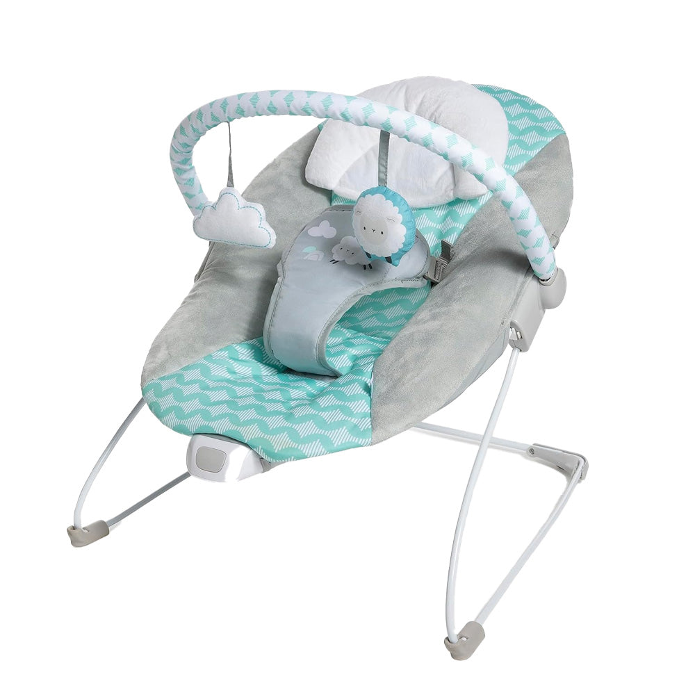 12535-ingenuity-ity-bouncity-bounce-vibrating-deluxe-bouncer-goji