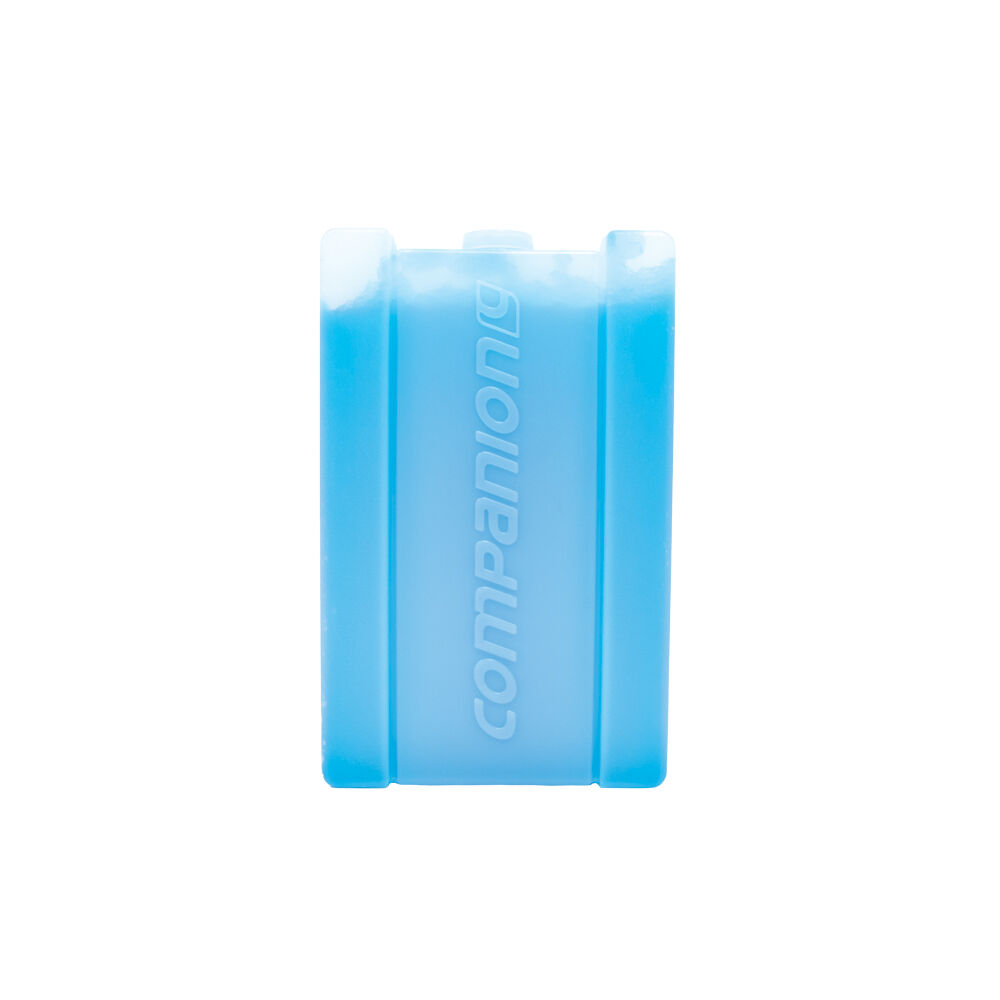 10000099-companion-750ml-ice-travel-cooler-brick-large-21x13cm-blue