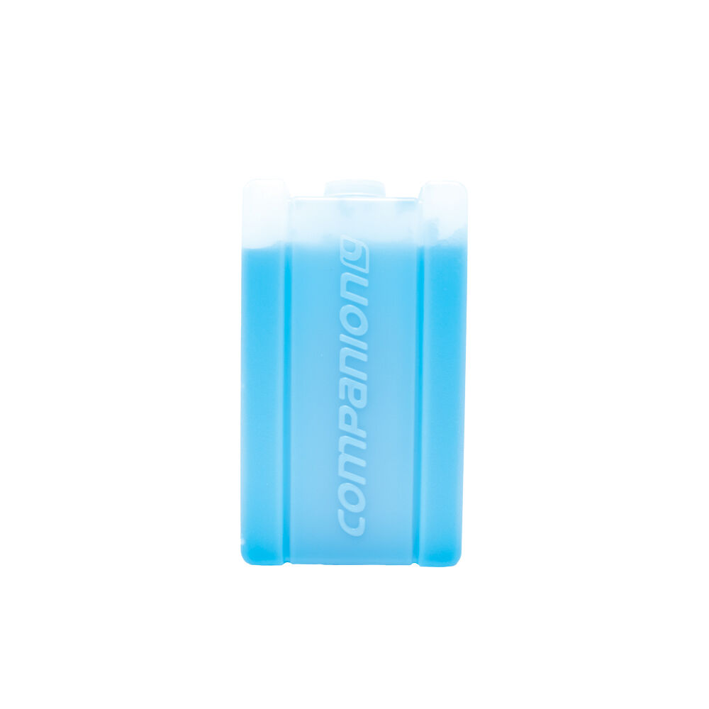 10000098-companion-350ml-ice-travel-cooler-brick-medium-16x9cm-blue