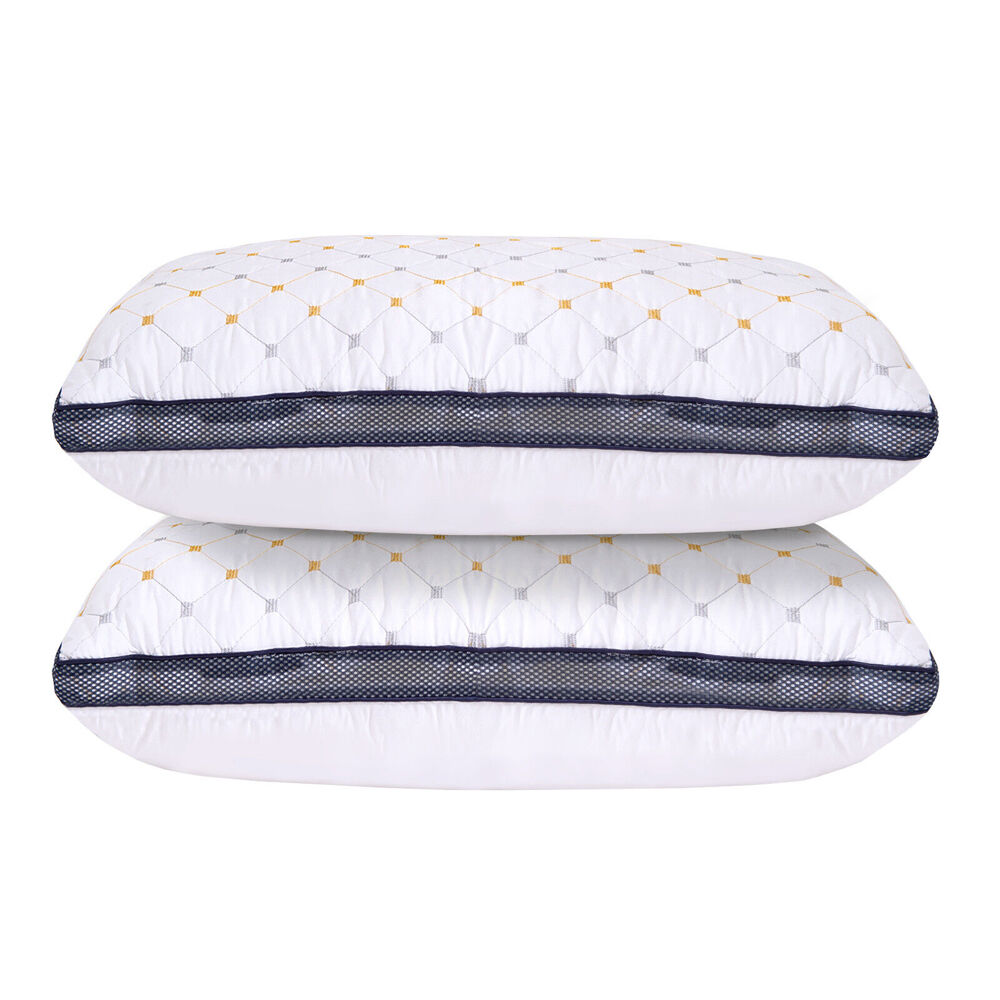 10003825-2pc-royal-comfort-luxury-chiro-comfort-air-mesh-pillow-50x75cm-white-blue