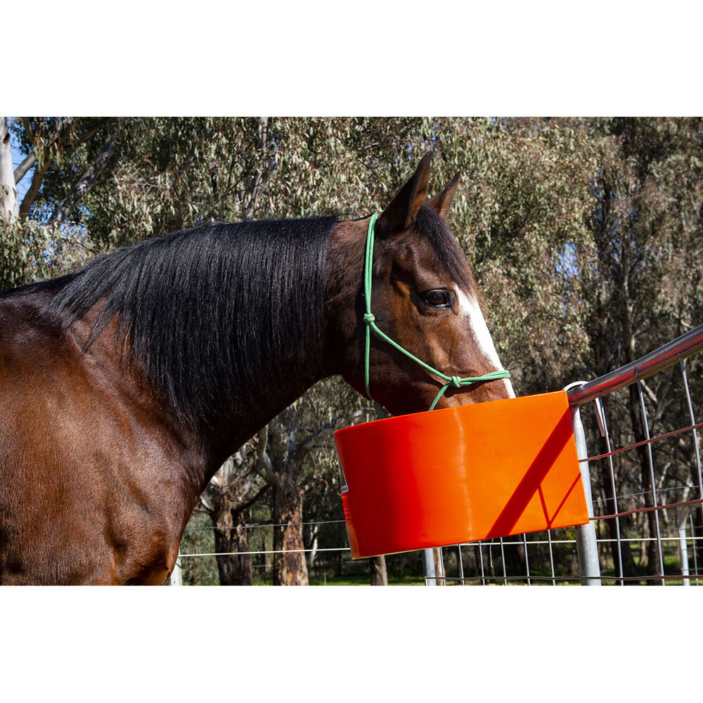 Agboss 45L Red D Shape Horse Sables and Paddock Fence Feeder — image 2