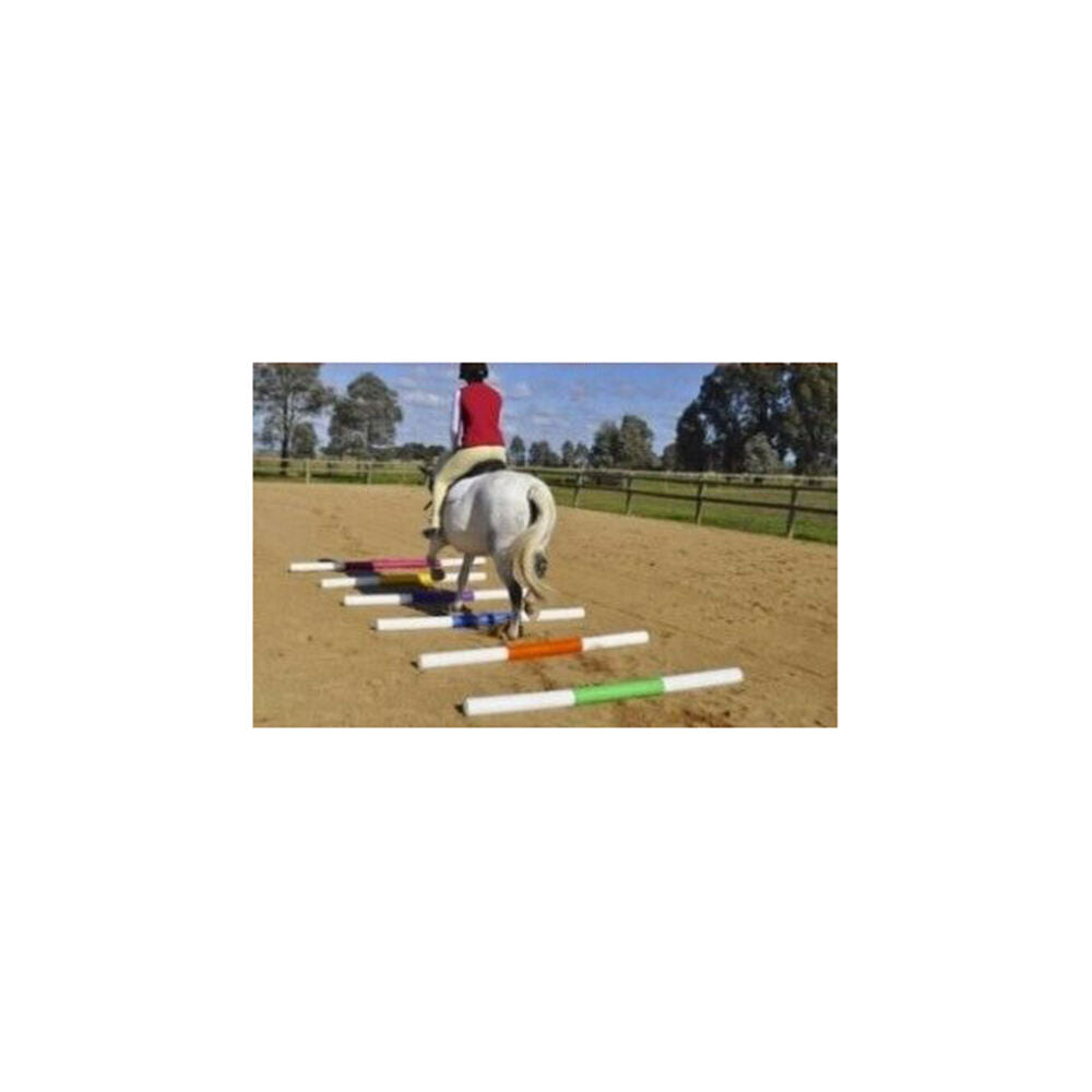 Agboss 2.4m Natural and Teal Equestrian Show Jumping Jump Pole — image 2