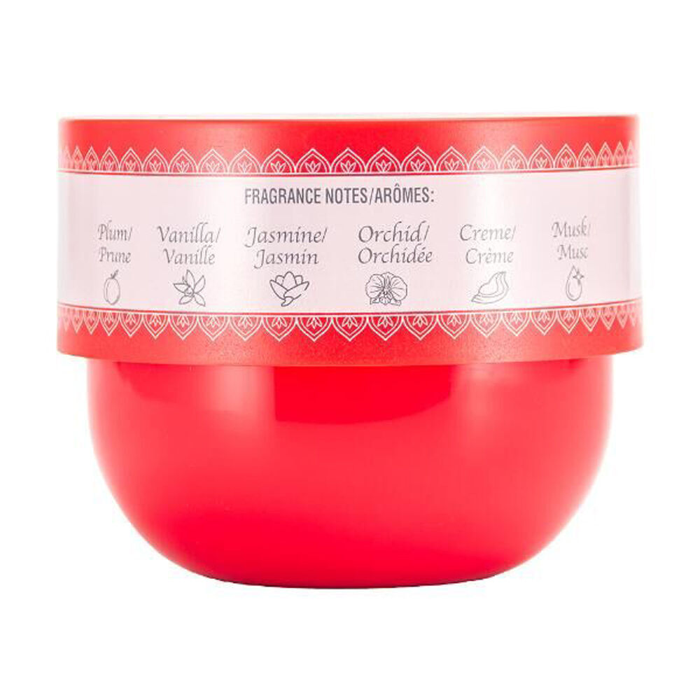 Solo EN Ibiza Nourish & Hydrate Moisturising Body Cream 236ml Assorted (4 Pack) — image 3