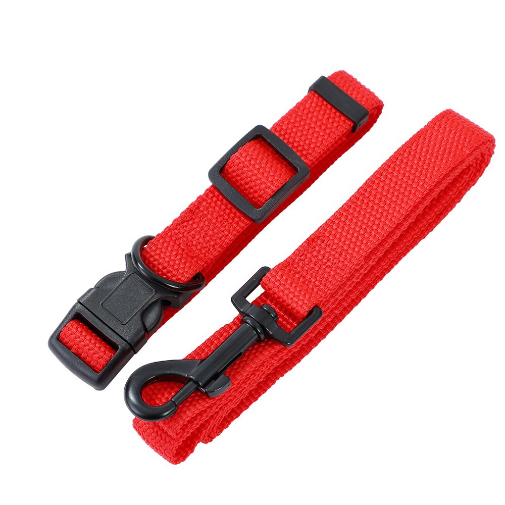 Paws and Claws Paws & Claws Essentials 120cm Dog Collar/Leash 30-40cm Pet Lead Set Assorted — image 8