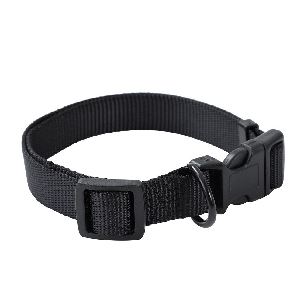Paws and Claws Paws & Claws Essentials Adjustable Pet Medium Dog Secure Neck Collar Assorted