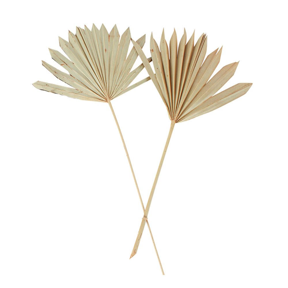 Maine & Crawford 55cm Artificial Sun Spear Fake Faux Plant Decor Natural (2 Pieces)