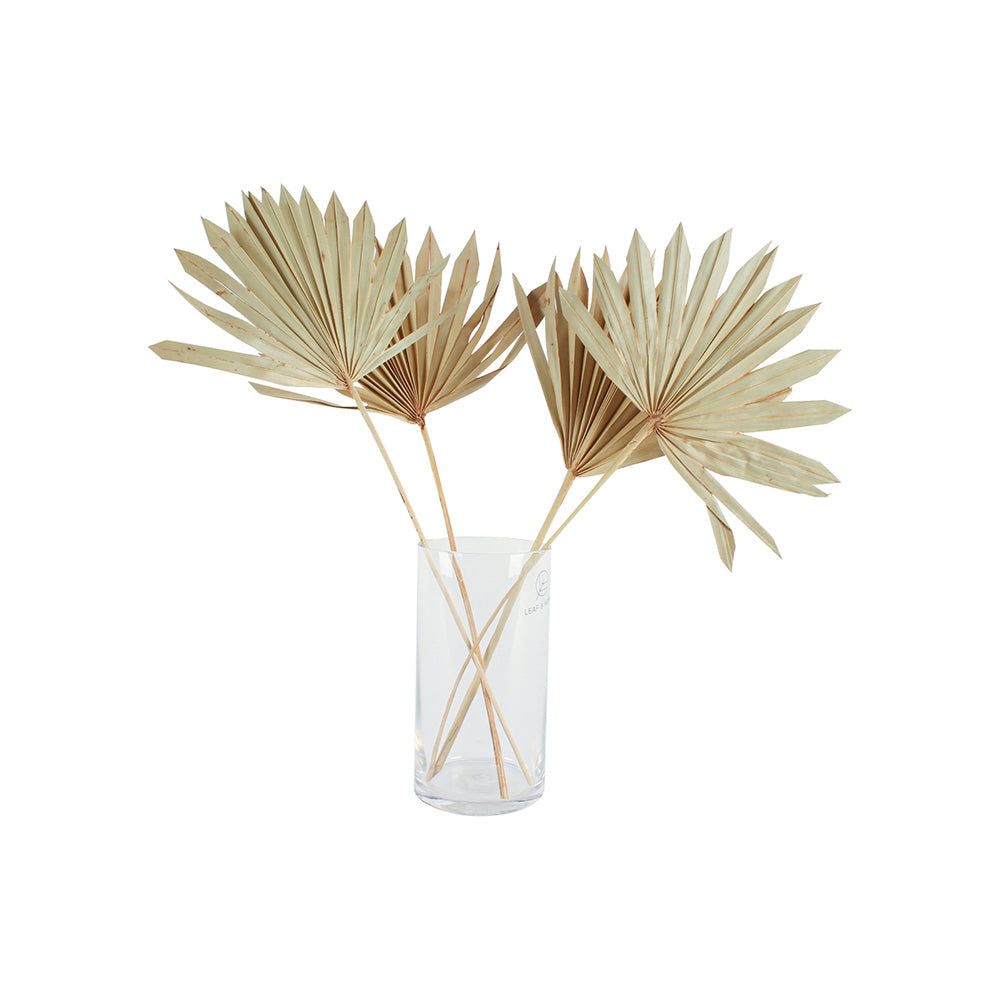 Maine & Crawford 55cm Artificial Sun Spear Fake Faux Plant Decor Natural (2 Pieces) — image 2