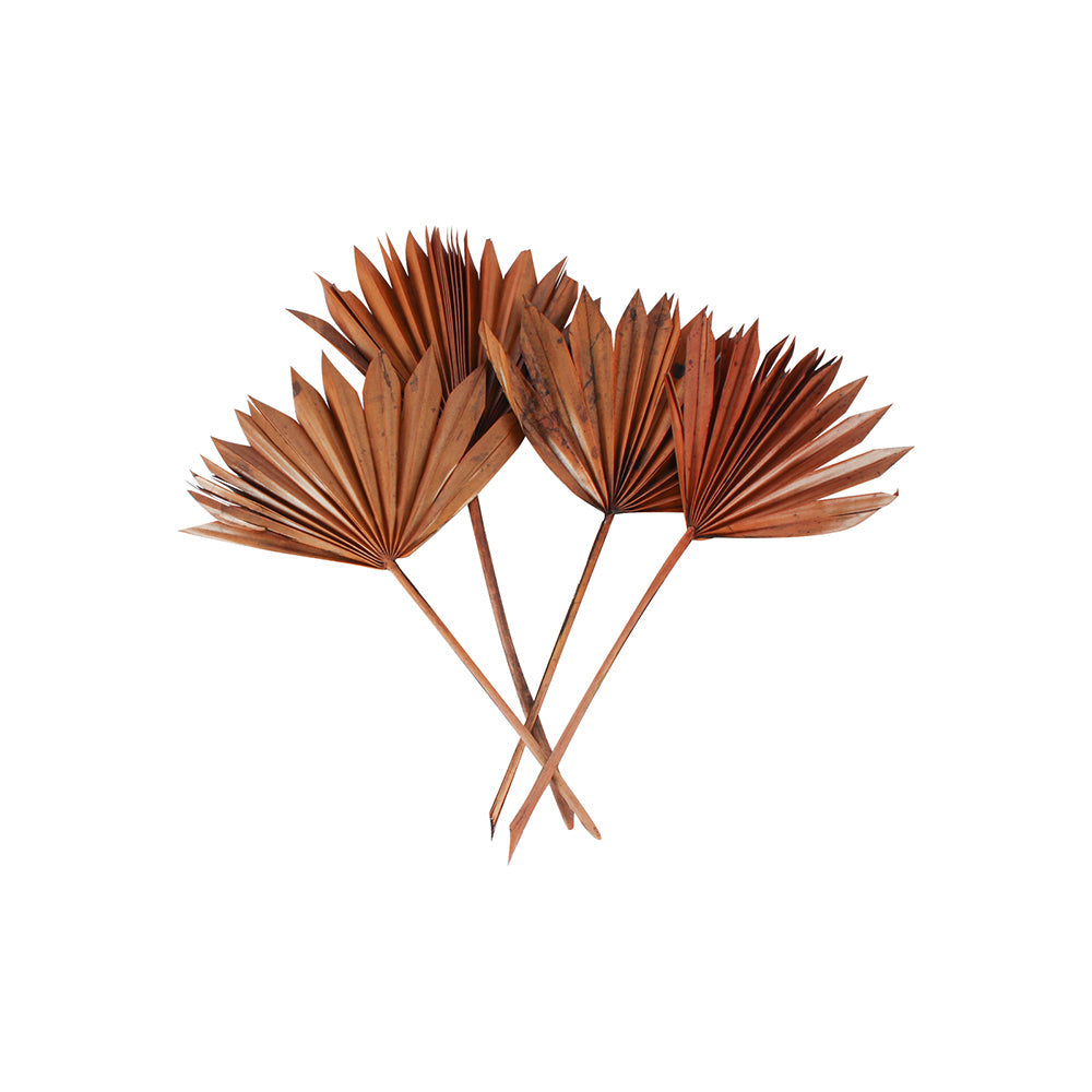 Maine & Crawford 55cm Sun Spear Coffee Artificial Plant - Brown (2 Pieces)