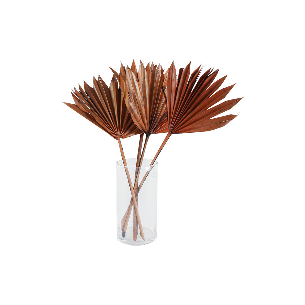 Maine & Crawford 55cm Sun Spear Coffee Artificial Plant - Brown (2 Pieces) — image 2