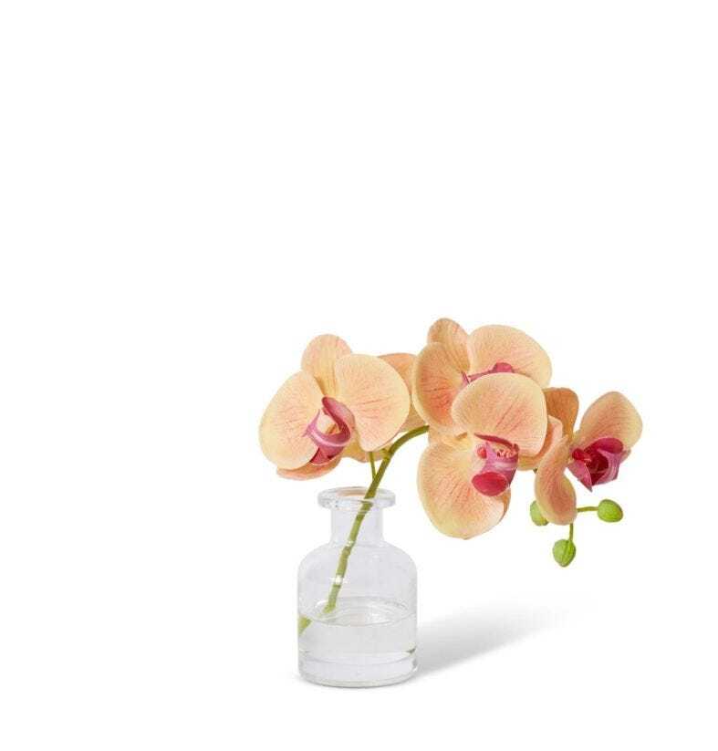 E Style 25cm Plastic Phalaenopsis Orchid in Vase Artificial Flower Apricot