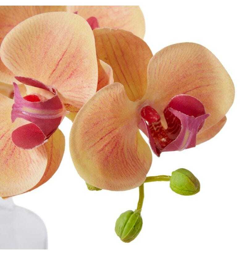 E Style 25cm Plastic Phalaenopsis Orchid in Vase Artificial Flower Apricot — image 2
