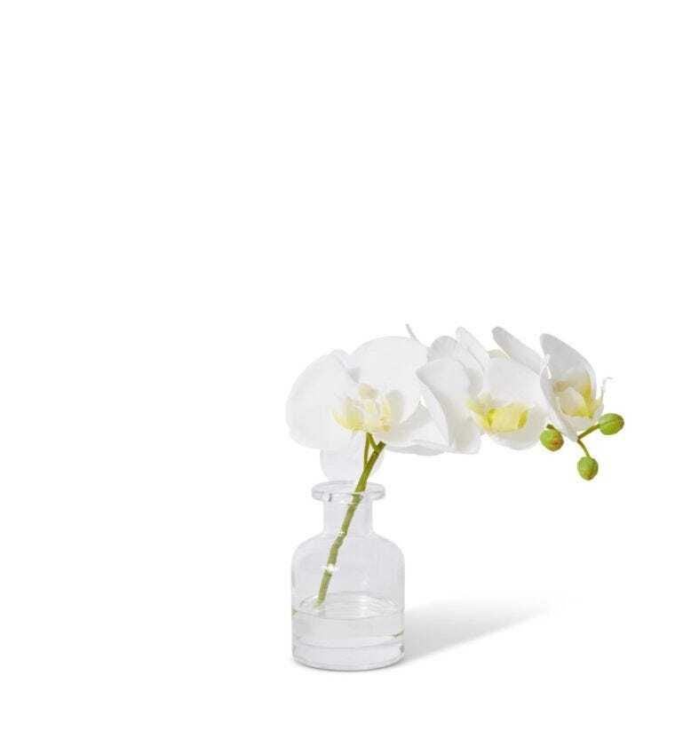 E Style Artificial White 25cm Plastic Phalaenopsis Orchid in Vase Flower