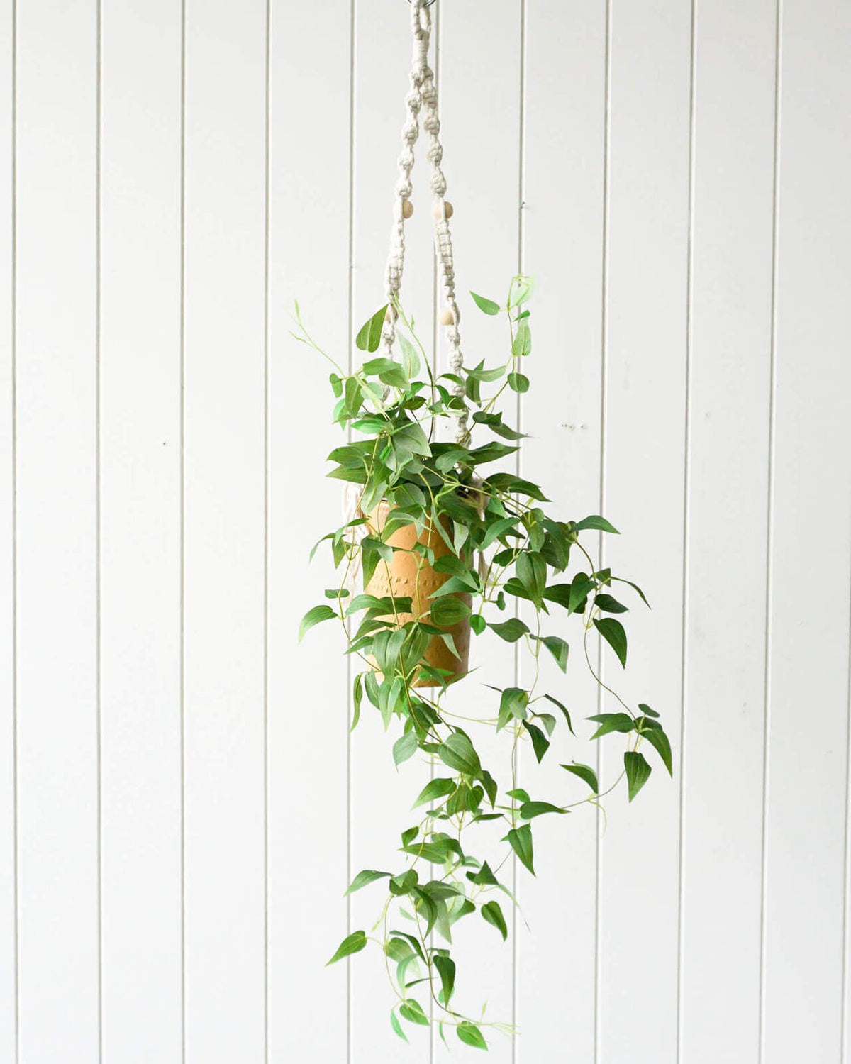 Rayell Large Lacey Hanging Pot/Planter Home Decor/Display Mustard 10x18.5x10cm — image 2