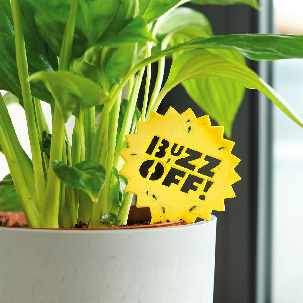 Bubblegum Stuff Fly Traffic Controllers/Sticky Plant Signs Bug Protector YLLW — image 2