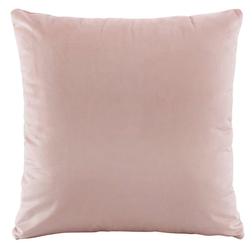 Bianca Vivid Coordinates European Pillowcase Velvet 65x65cm Pillow Cover — Blush