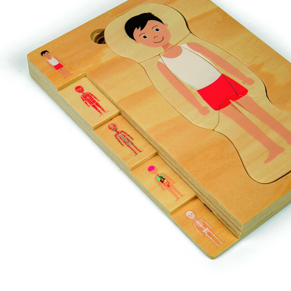 Bigjigs Toys 25x18cm Wood Anatomy PuzzleBoy Educational Kids Puzzles Toys 3y+ — image 2