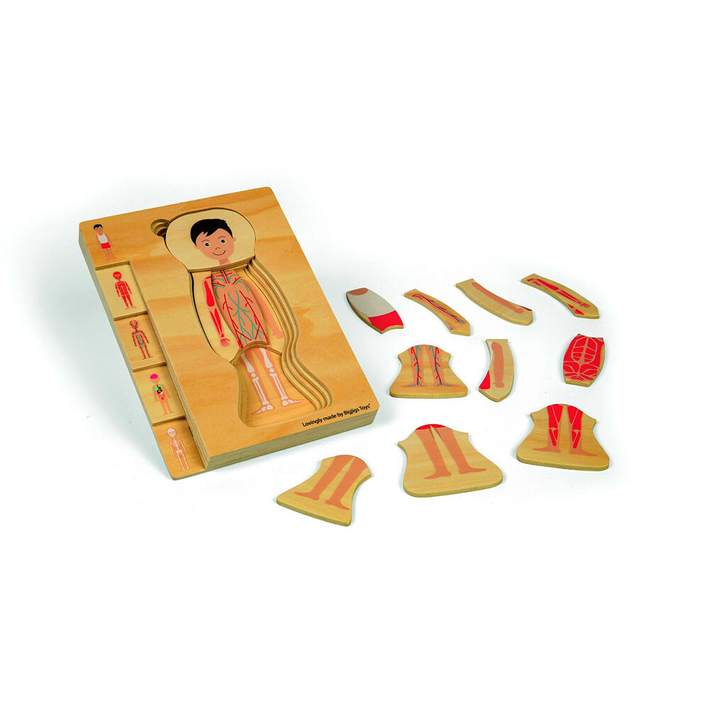Bigjigs Toys 25x18cm Wood Anatomy PuzzleBoy Educational Kids Puzzles Toys 3y+ — image 3