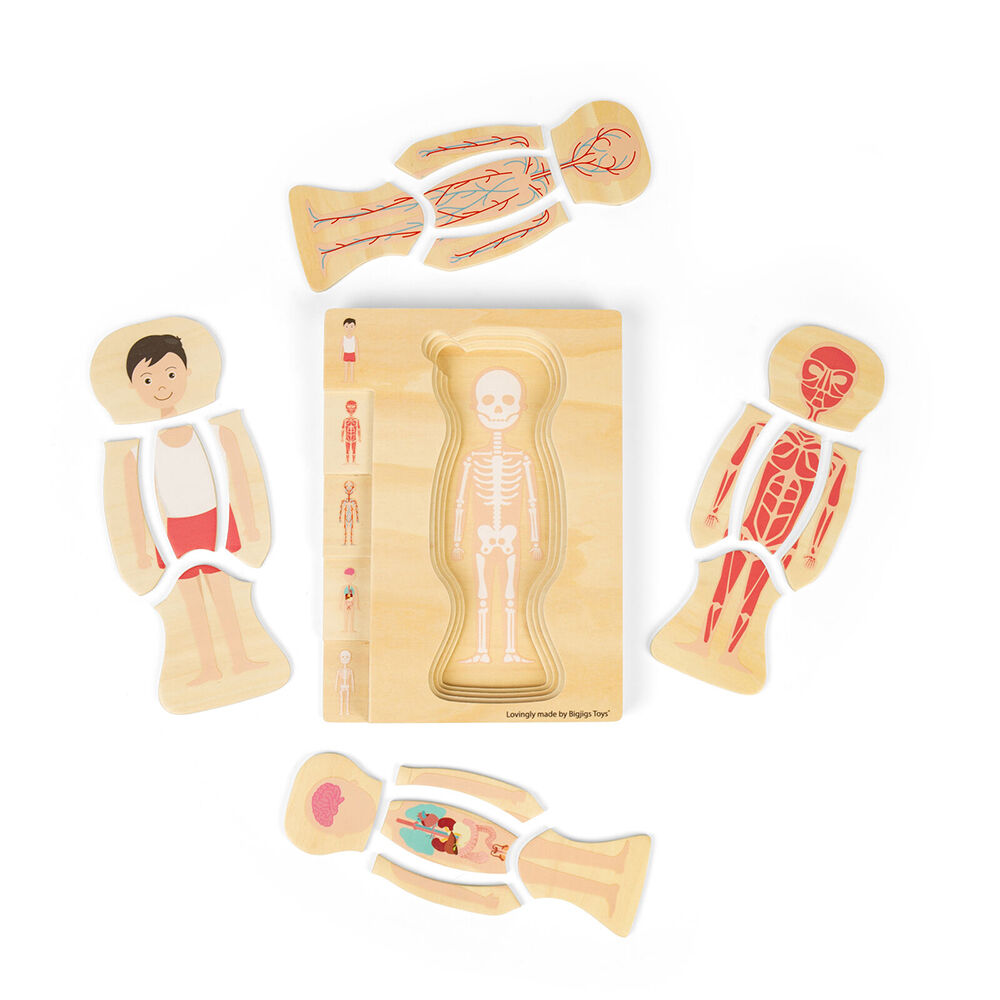 Bigjigs Toys 25x18cm Wood Anatomy PuzzleBoy Educational Kids Puzzles Toys 3y+ — image 5