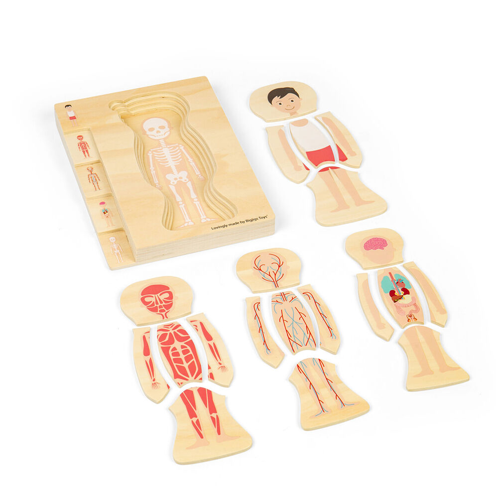 Bigjigs Toys 25x18cm Wood Anatomy PuzzleBoy Educational Kids Puzzles Toys 3y+ — image 6