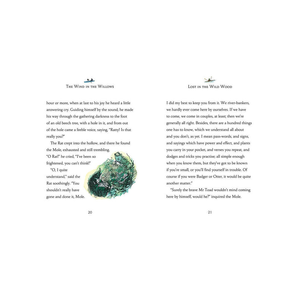 Harper Collins Wind in The Willows Classic Story Collection 20 Hardback Book Set w/ Case 8y+ — image 3
