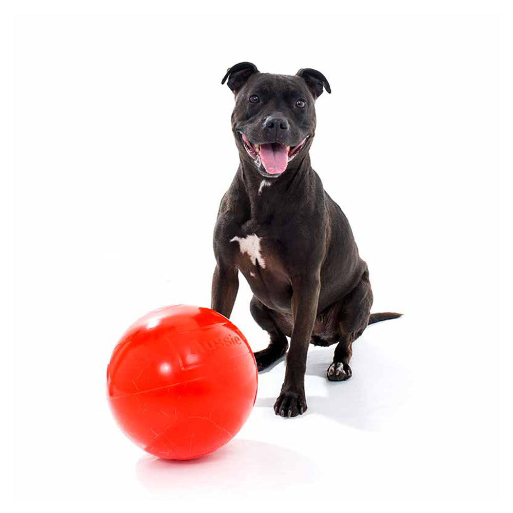 Aussie Dog Products Aussie Dog 24cm Staffie Dog Ball Large Heavy Duty Tough Pets Chew Toy Orange — image 5