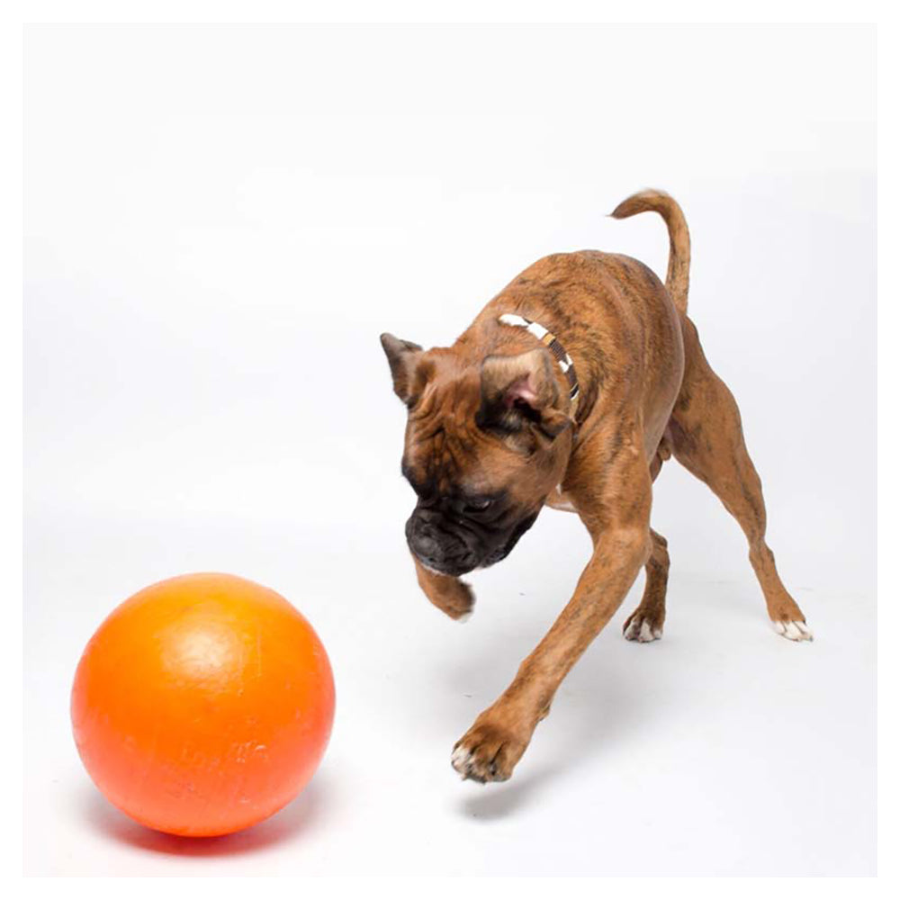 Aussie Dog Products Aussie Dog 24cm Staffie Dog Ball Large Heavy Duty Tough Pets Chew Toy Orange — image 4