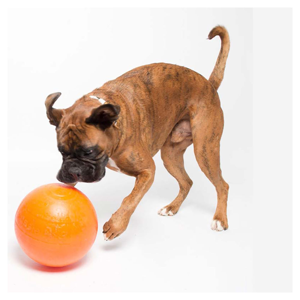 Aussie Dog Products Aussie Dog 24cm Staffie Dog Ball Large Heavy Duty Tough Pets Chew Toy Orange — image 3