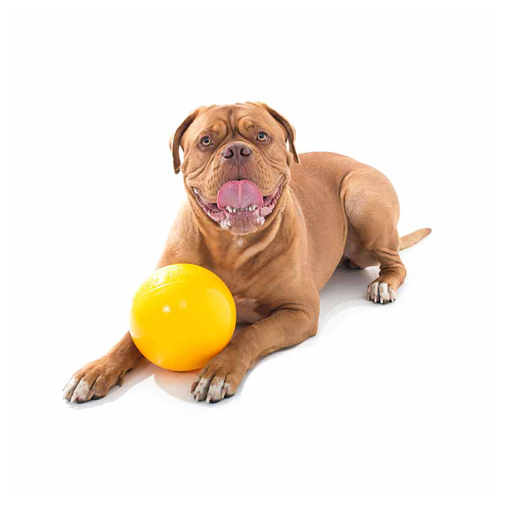 Aussie Dog Products Aussie Dog 15cm Medium Rattle Tucker Ball Treat Food Dispenser 10-15kg Dogs Toy — image 3