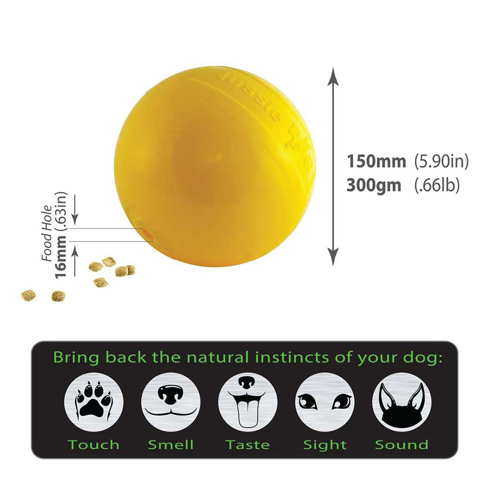 Aussie Dog Products Aussie Dog 15cm Medium Rattle Tucker Ball Treat Food Dispenser 10-15kg Dogs Toy — image 2