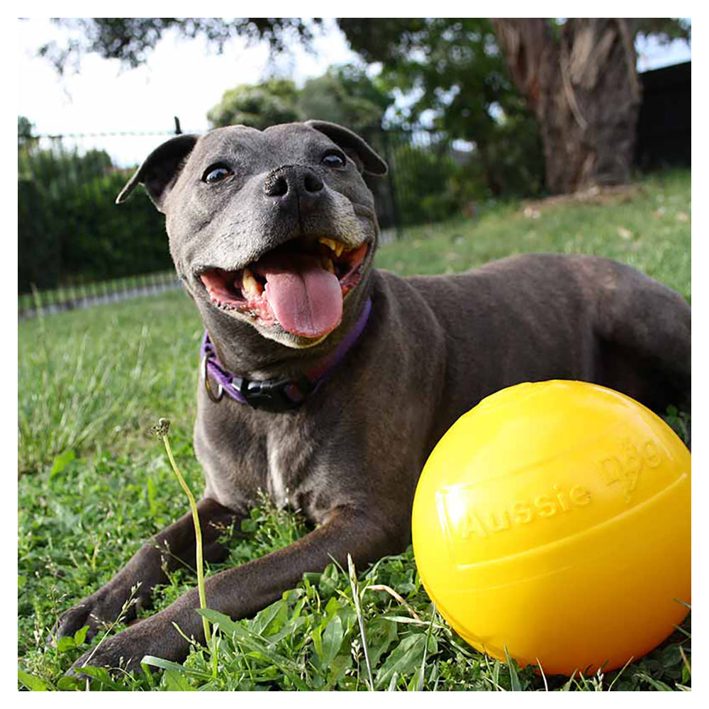 Aussie Dog Products Aussie Dog 15cm Medium Rattle Tucker Ball Treat Food Dispenser 10-15kg Dogs Toy — image 4