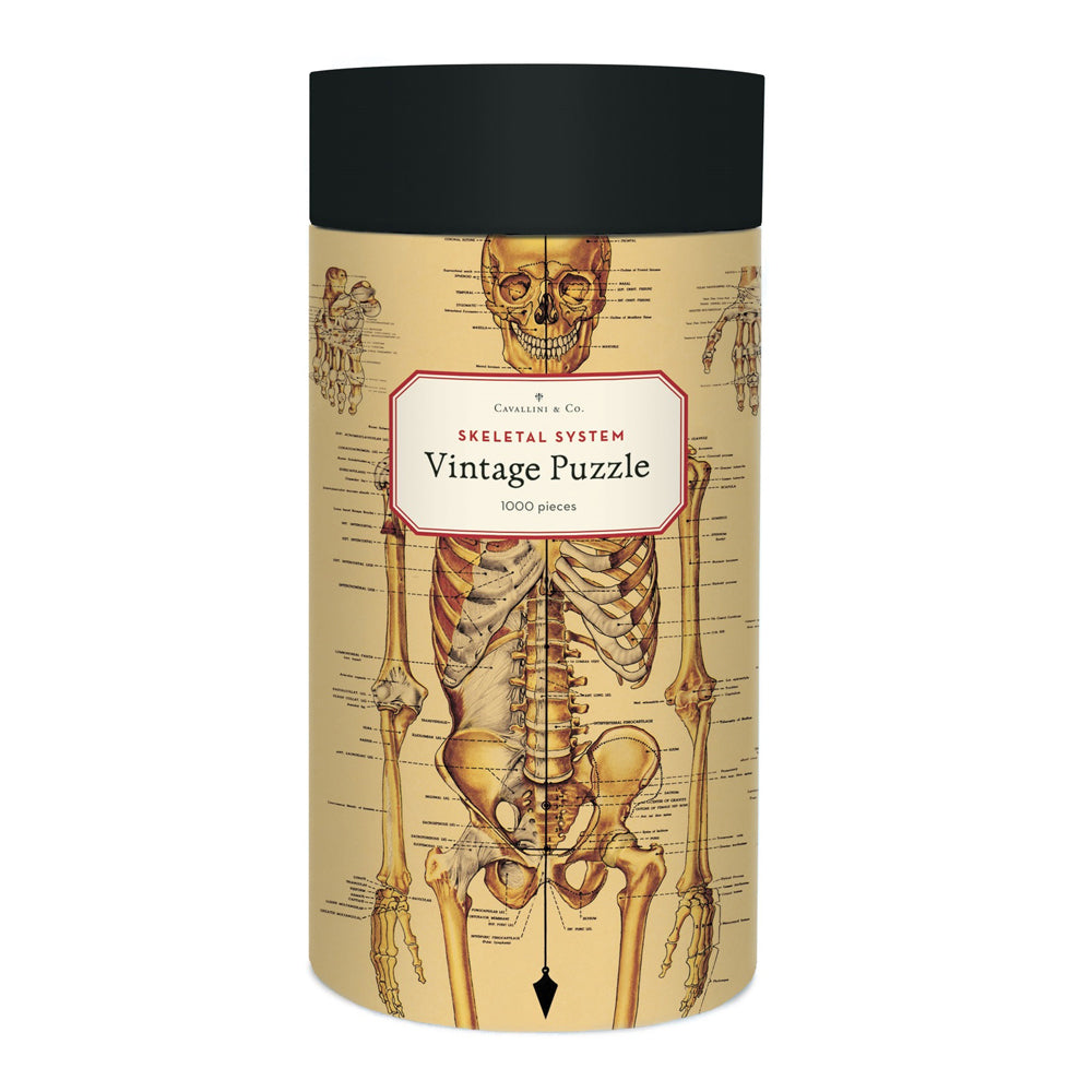 Cavallini Jigsaw Puzzle Skeletal System 55x70cm Educational Game (1000 Pieces)