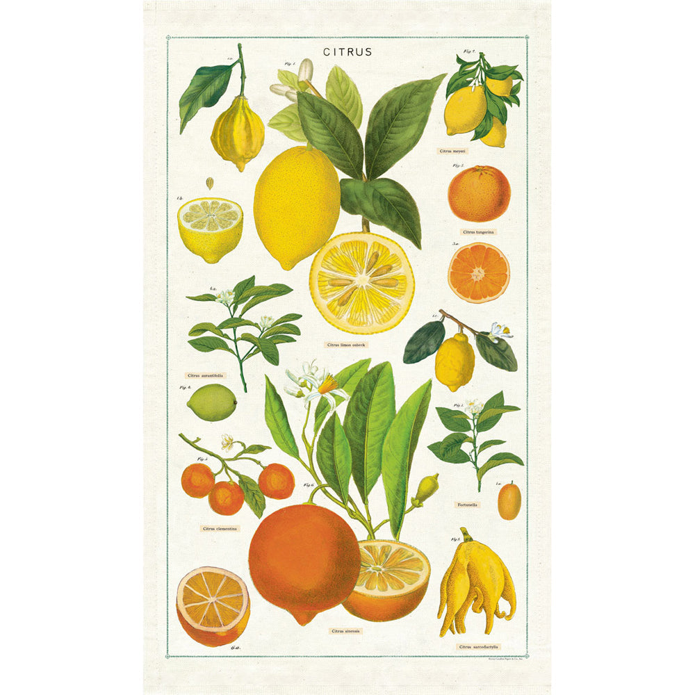 Cavallini Cotton Kitchen Tea Towel Soft Absorbent Dish Cloth 48x80cm Citrus (2 Pack) — image 2
