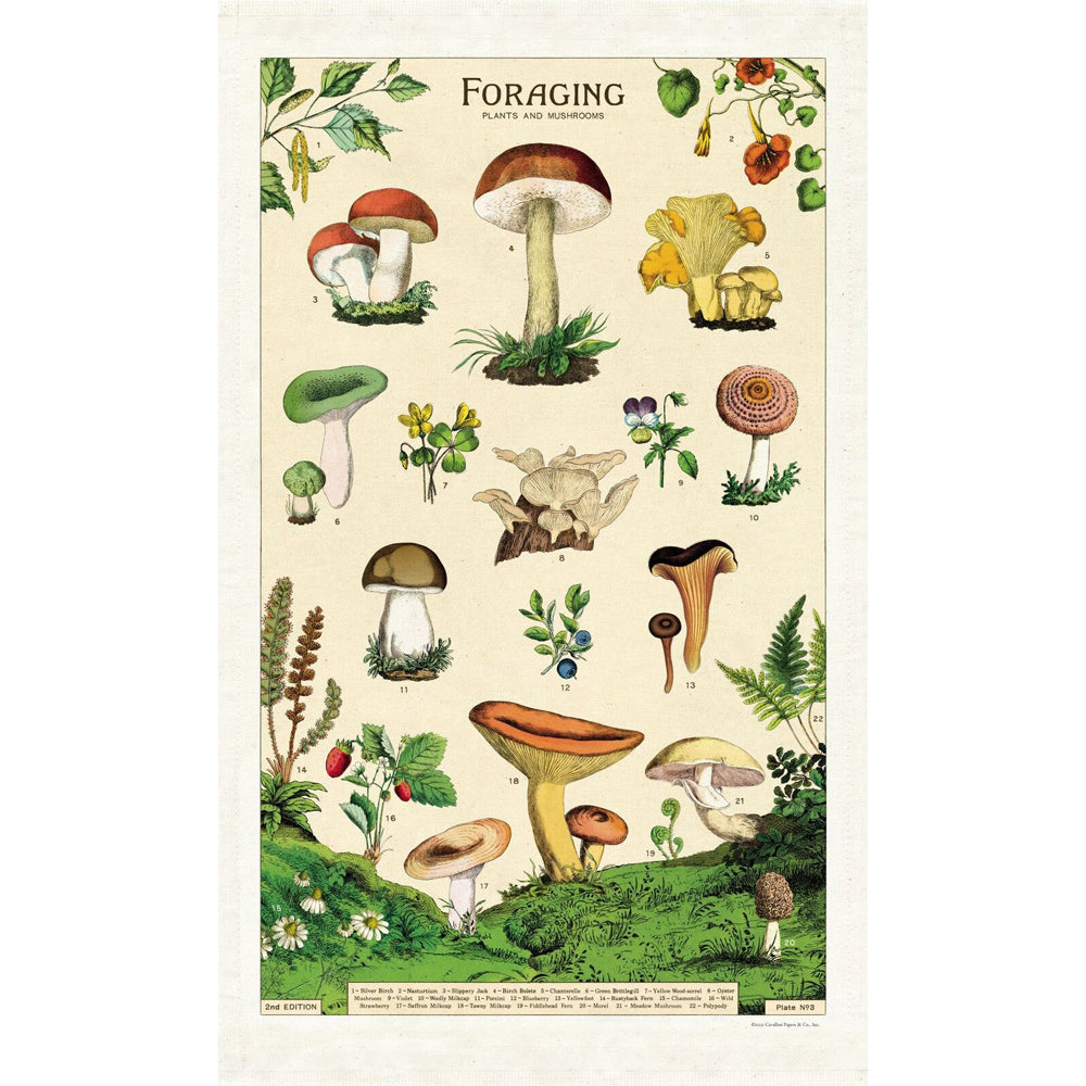 Cavallini Cotton Kitchen Tea Towel Absorbent Dish Cloth 48x80cm Foraging