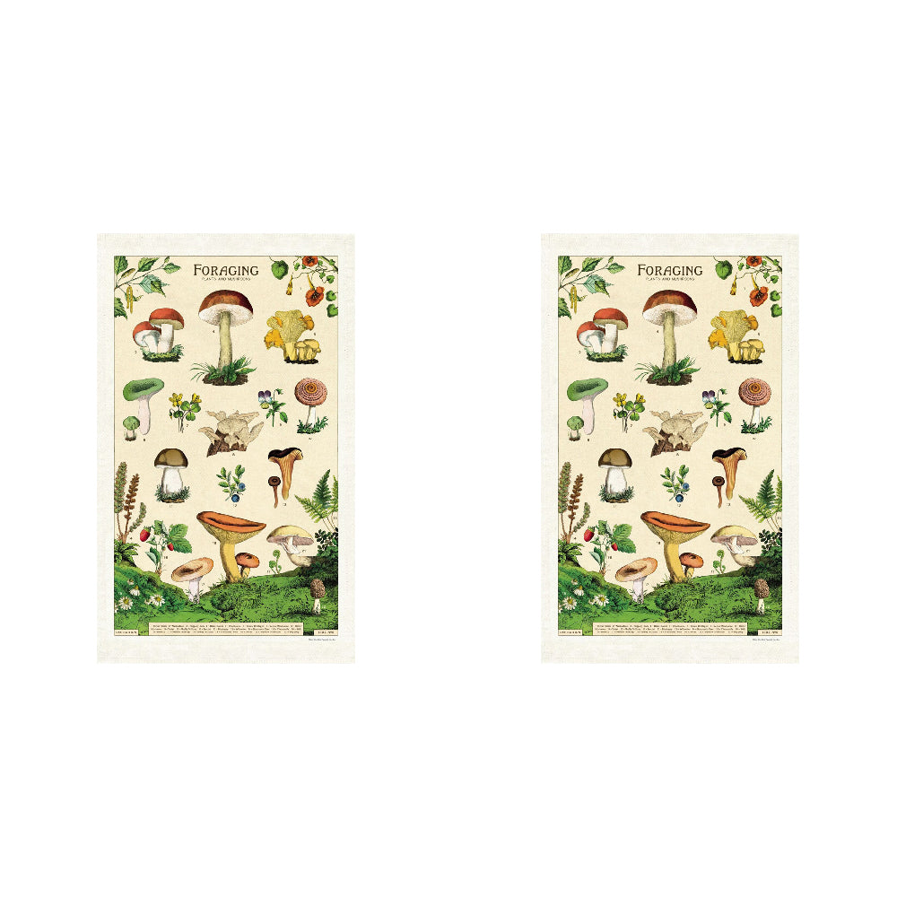 Cavallini Cotton Kitchen Tea Towel Absorbent Dish Cloth 48x80cm Foraging (2 Pack)
