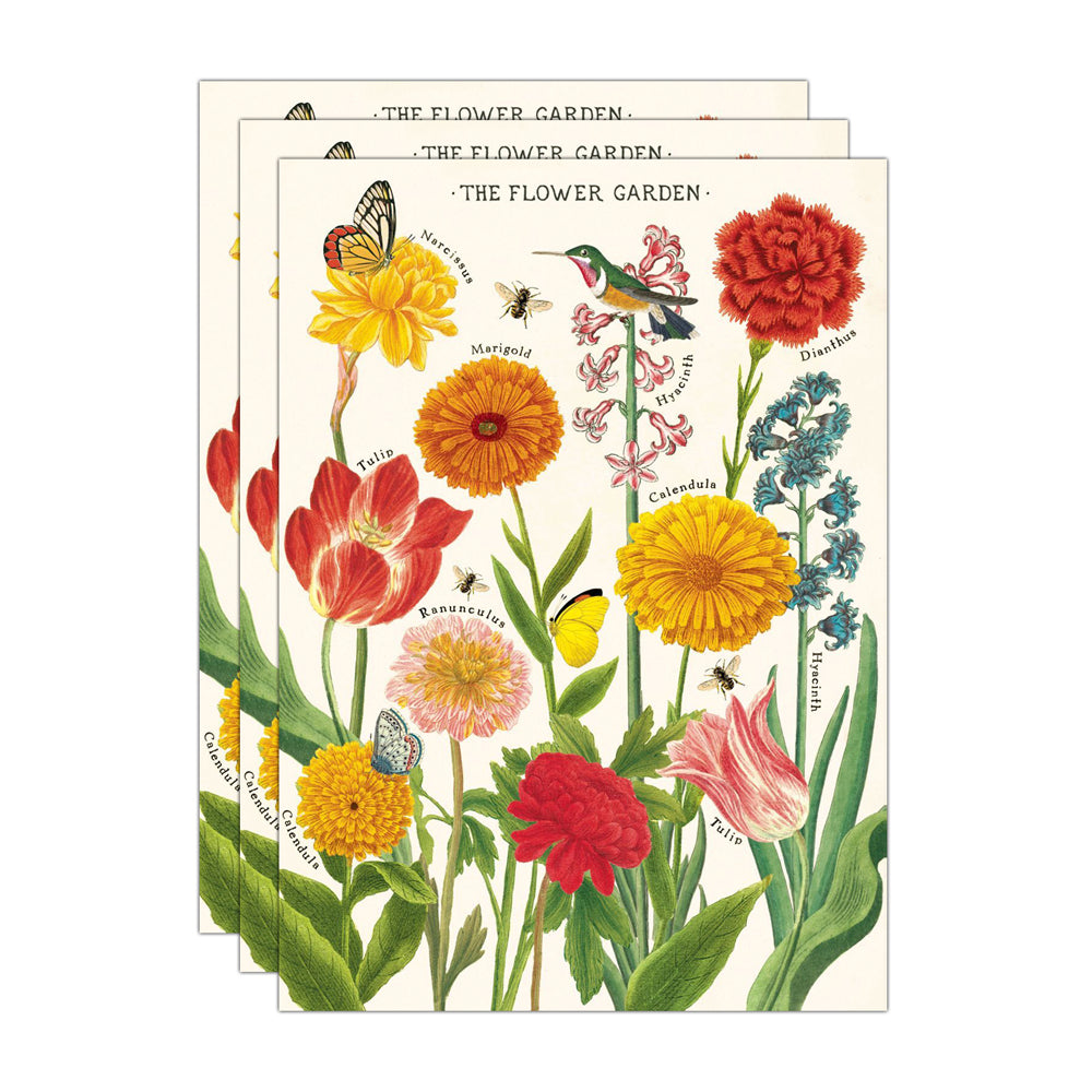 Cavallini Paper Poster Prints/Gift Wrap Wall Art Decor 50x70cm Flower Garden (3 Pack)