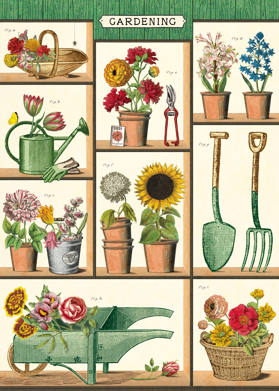 Cavallini Paper Poster Prints/Gift Wrap Wall Art Decor 50x70cm Gardening