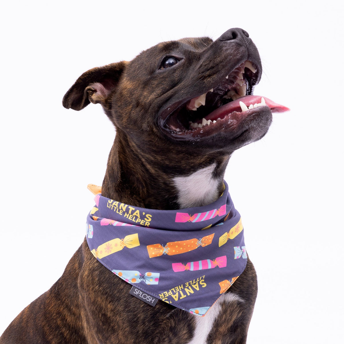 Splosh Christmas Crackers Pet Dog Cotton Bandana Neck Collar 70x25cm Grey/Yellow — image 3