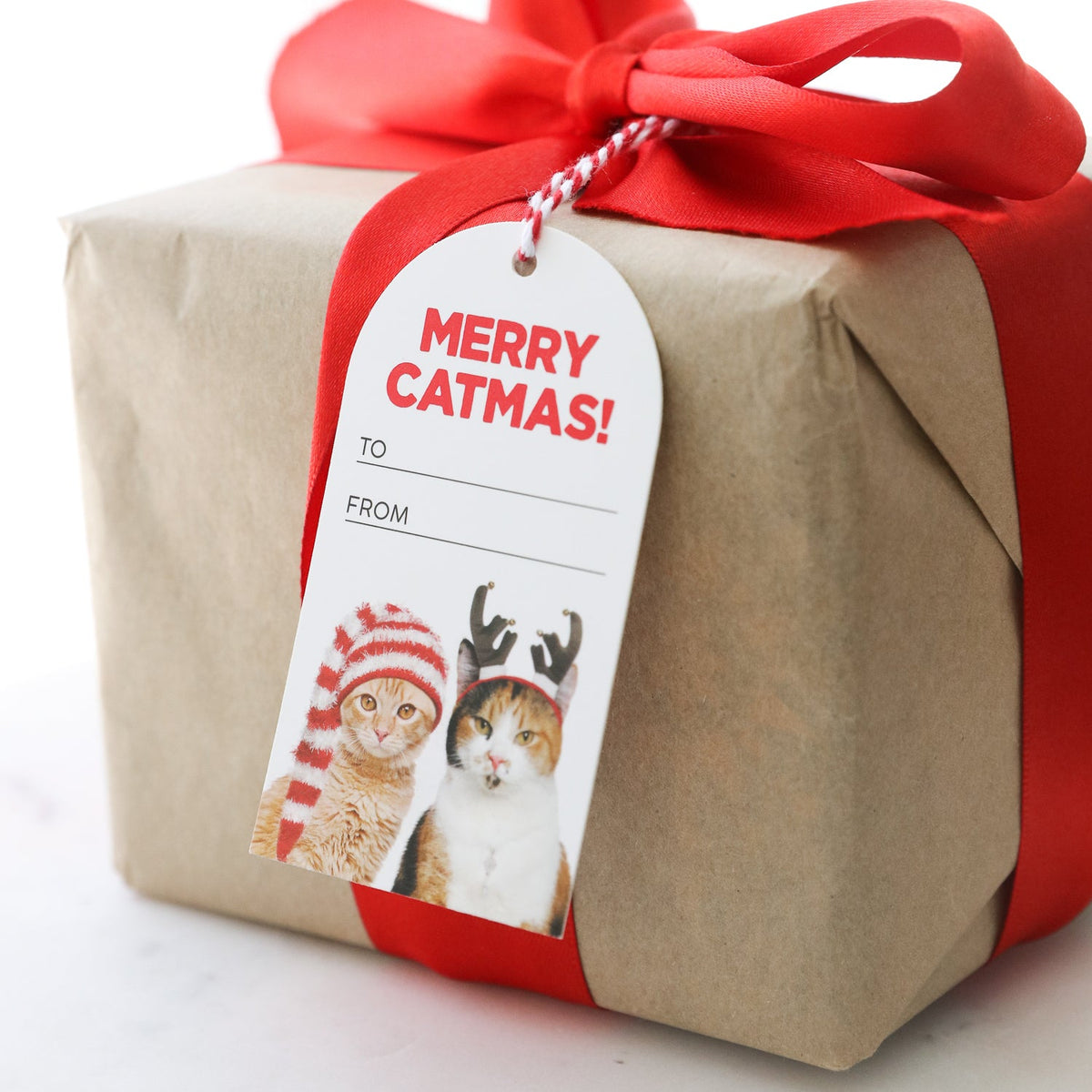 Splosh Christmas Catmas Gift Tags Set 300gsm Card 11.5cm Label White/Red (6 Pieces) — image 3