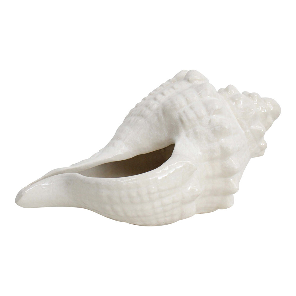 LVD Decorative Shell Conoch Figurine Home/Office Room Tabletop Decor Rustic Ivory