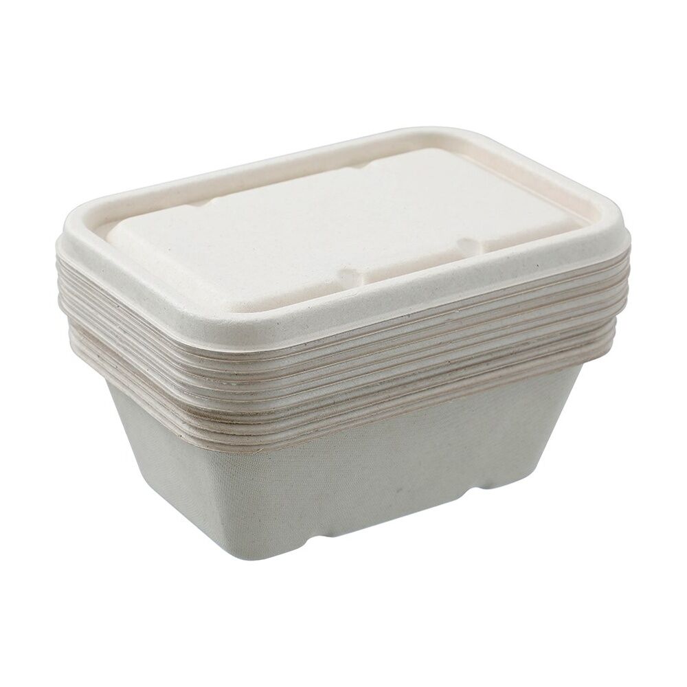 Lemon and Lime Eco Sugarcane Food Container Set 750ml Capacity Assorted (7 Pieces) — image 5