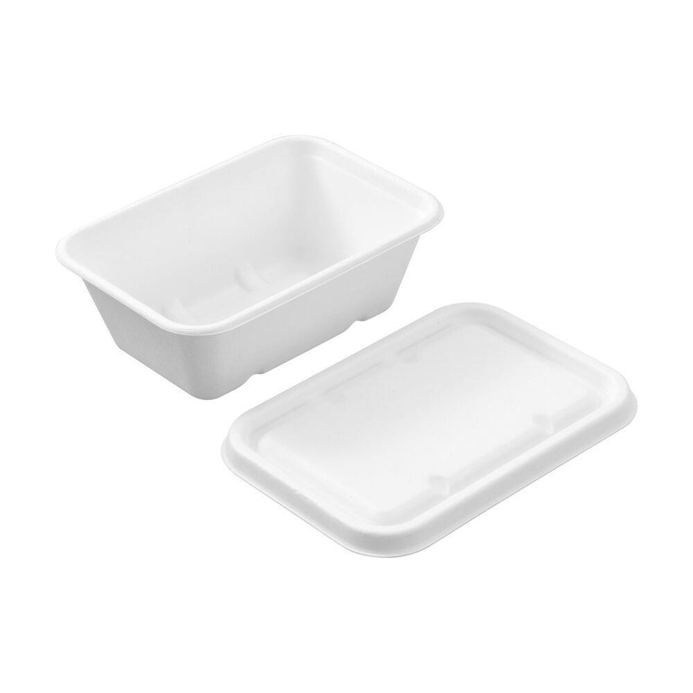 Lemon and Lime Eco Sugarcane Food Container Set 750ml Capacity Assorted (7 Pieces) — image 4