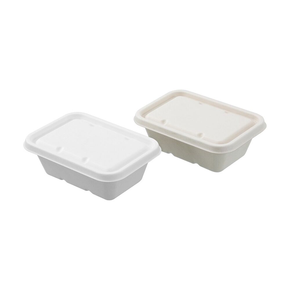 Lemon and Lime Eco Sugarcane Food Container Set 750ml Capacity Assorted (7 Pieces) — image 2